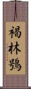 褐林鴞 Scroll