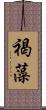 褐藻 Scroll