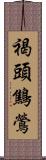 褐頭鷦鶯 Scroll