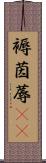 褥 Scroll