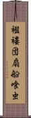 襤褸団扇船喰虫 Scroll