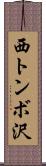西トンボ沢 Scroll