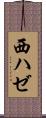 西ハゼ Scroll