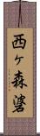 西ヶ森碆 Scroll