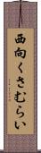 西向くさむらい Scroll
