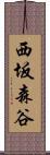 西坂森谷 Scroll