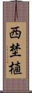 西埜植 Scroll