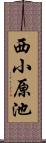 西小原池 Scroll