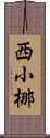 西小梛 Scroll