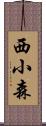 西小森 Scroll