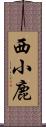 西小鹿 Scroll