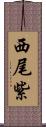 西尾紫 Scroll