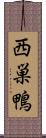 西巣鴨 Scroll