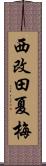 西改田夏梅 Scroll