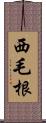 西毛根 Scroll