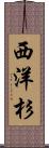 西洋杉 Scroll