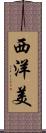 西洋美 Scroll