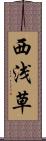 西浅草 Scroll