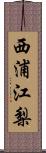 西浦江梨 Scroll