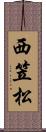 西笠松 Scroll