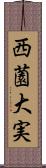 西薗大実 Scroll