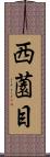 西薗目 Scroll