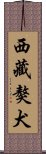 西藏獒犬 Scroll