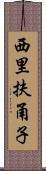 西里扶甬子 Scroll