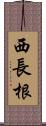 西長根 Scroll