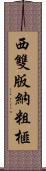 西雙版納粗榧 Scroll