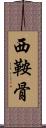西鞍骨 Scroll