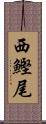 西鰹尾 Scroll