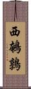 西鵪鶉 Scroll