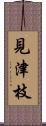 見津枝 Scroll