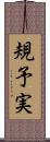 規予実 Scroll