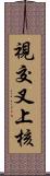 視交叉上核 Scroll