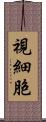 視細胞 Scroll
