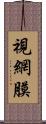 視網膜 Scroll