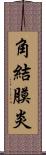 角結膜炎 Scroll