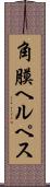 角膜ヘルペス Scroll