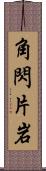 角閃片岩 Scroll