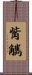 觜觽 Scroll