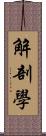 解剖學 Scroll