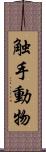 触手動物 Scroll