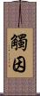 觸因 Scroll
