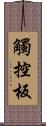 觸控板 Scroll