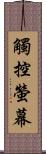 觸控螢幕 Scroll