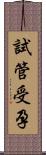 試管受孕 Scroll