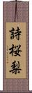 詩桜梨 Scroll