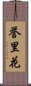 誉里花 Scroll